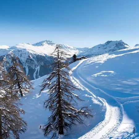 Pitschonia Self Check-in 3*