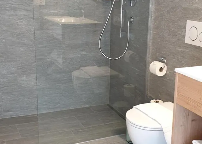 Apart-hotel Pitschonia Self Check-in Andeer