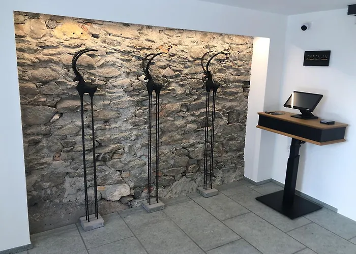 Apartahotel Pitschonia Self Check-in 3*