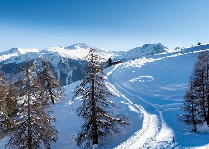 Pitschonia Self Check-in 3*